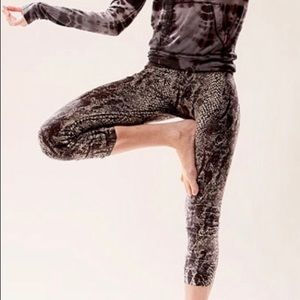 Hardtail Python Leggings